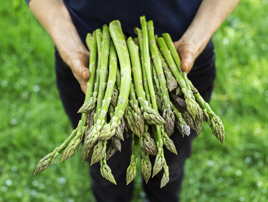 armful of asparagus