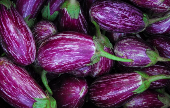 eggplant, in-season summer vegetables