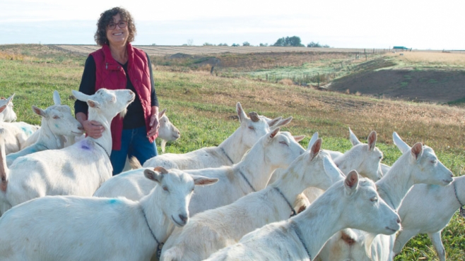 Karen Evans and sheep