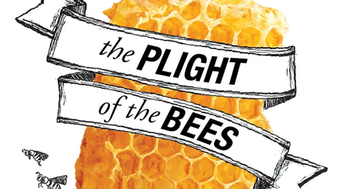 Plight of the Bees