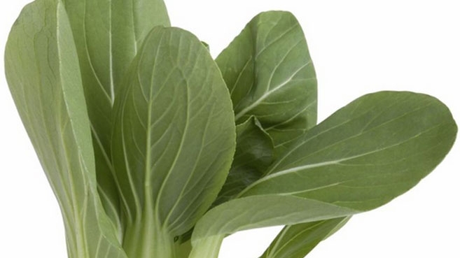 bokchoy