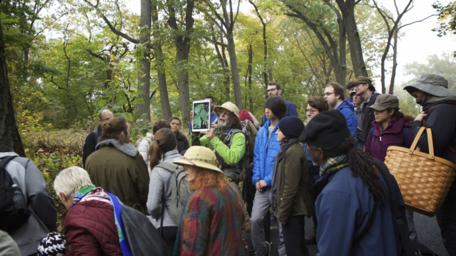 Foraging in Forest Park with Wildman Steve Brill.