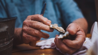 Shucking oysters in Northeast Florida